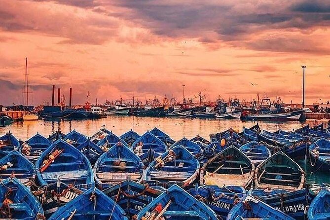 Private day tour to Essaouira from Marrakech - What Reviewers Love Most