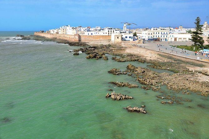 Private day tour to Essaouira from Marrakech - Who Is This Tour Best For?