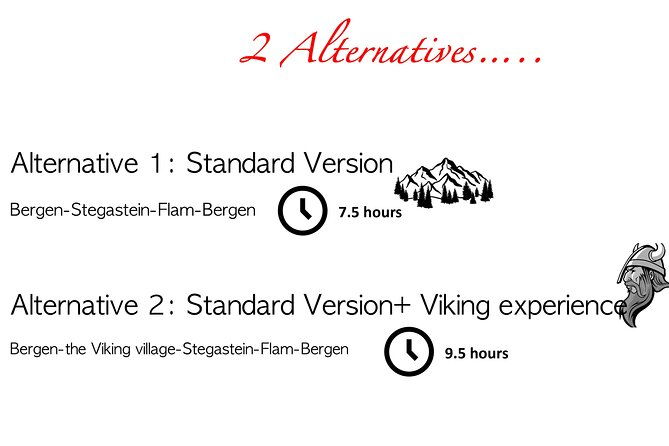 private-day-tour-to-flam-and-stegastein-4