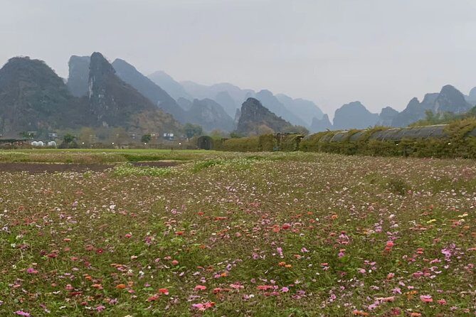 Private Day Tour to Gulong Canyon and Jiulong Town from Guangzhou - Frequently Asked Questions