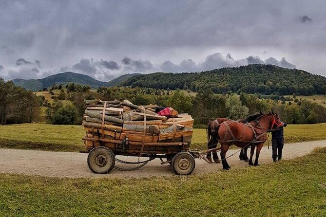 private-day-tour-to-historical-villages-in-sinaia