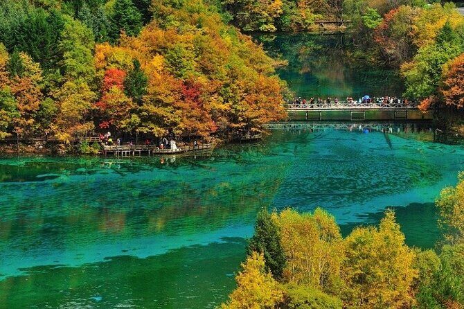 Private Day Tour to Jiuzhaigou Park by Bullet Train from Chengdu - Why This Tour Offers Good Value