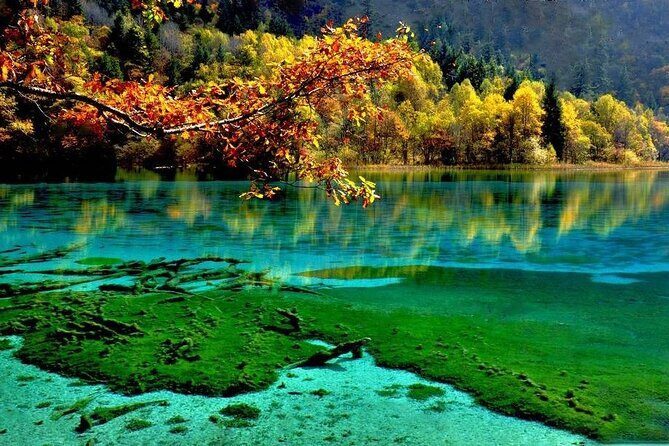 Private Day Tour to Jiuzhaigou Park by Bullet Train from Chengdu - The Sum Up