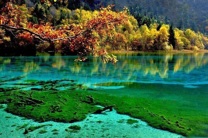 Private Day Tour to Jiuzhaigou Park by Bullet Train from Chengdu - FAQs