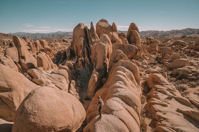 private-day-tour-to-joshua-tree-national-park-from-san-diego