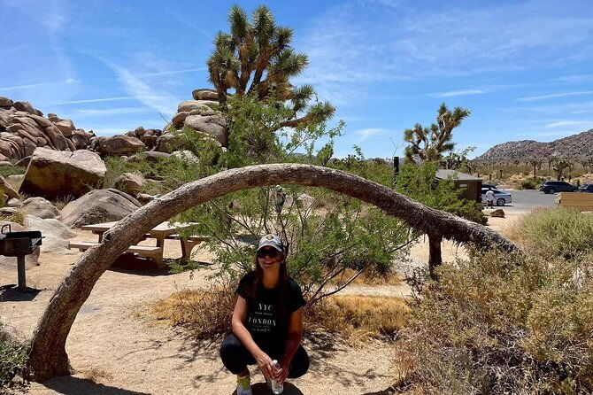 private-day-tour-to-joshua-tree-national-park-from-san-diego