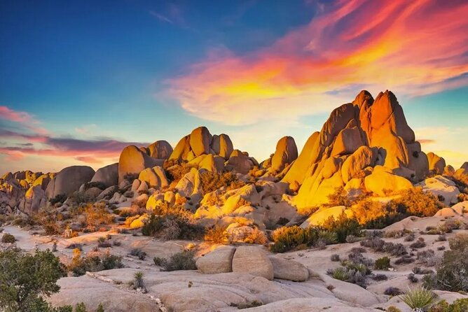 private-day-tour-to-joshua-tree-national-park-from-san-diego