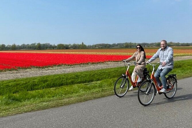 private-day-tour-to-keukenhof-gardens-from-amsterdam-rotterdam