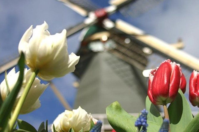 private-day-tour-to-keukenhof-gardens-from-amsterdam-rotterdam