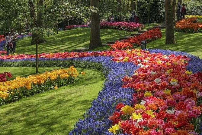 private-day-tour-to-keukenhof-gardens-from-amsterdam-rotterdam