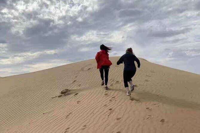 Private Day Tour to Kubuqi Desert from Hohhot with Pick Up - An In-Depth Look at the Kubuqi Desert Tour