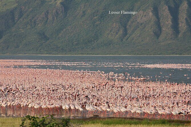 Private Day Tour to Lake Baringo from Nairobi - Authentic Insights from Reviewers