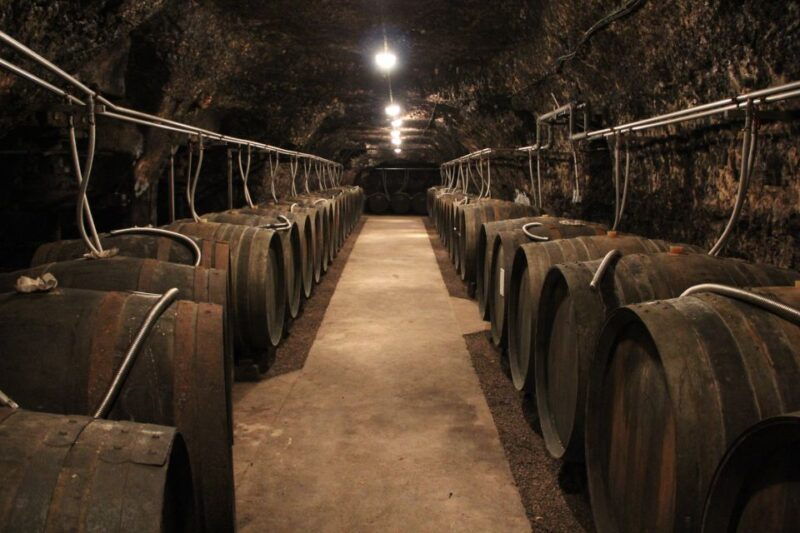 private-day-tour-to-loire-valley-castles-wines-from-paris