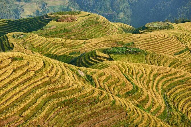 Private Day Tour to Longji Rice Terraces and Long Hair Village from Guilin - Key Points