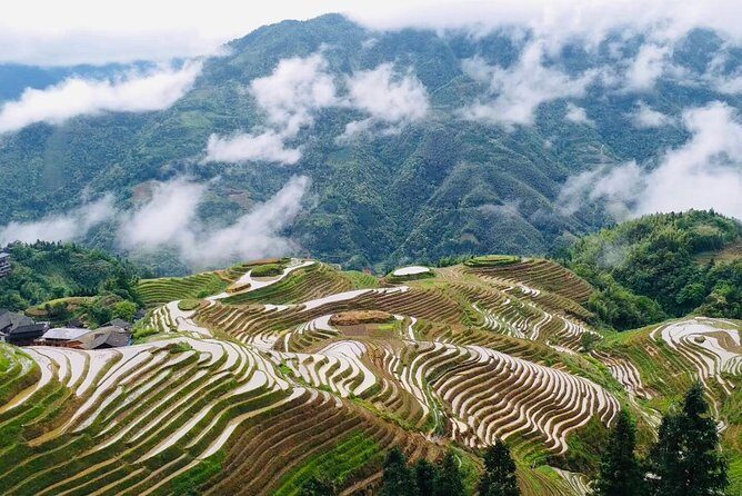 Private Day Tour to Longji Rice Terraces from Yangshuo - Whats Included and Whats Not
