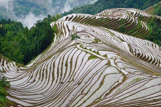 Private Day Tour to Longji Rice Terraces from Yangshuo - Who Should Consider This Tour?