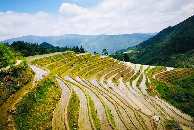 Private Day Tour to Longji Rice Terraces from Yangshuo - The Sum Up