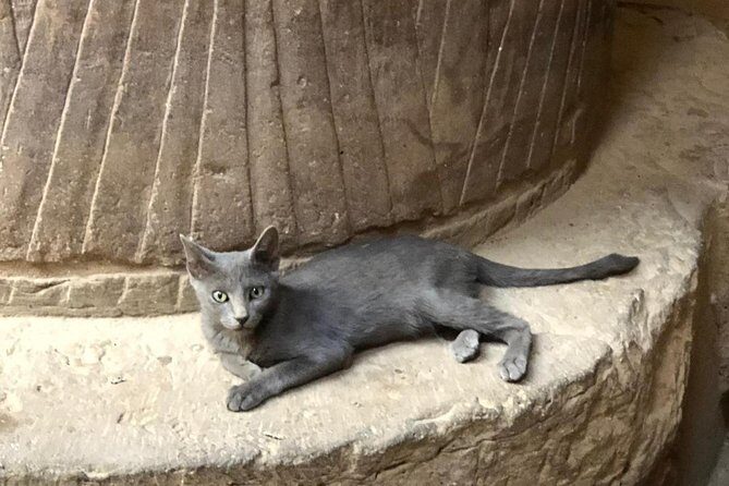 Private Day Tour to Luxor from Cairo by Plane - Practical Tips for Future Travelers