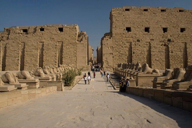 Private Day Tour to Luxor Temple & Karnak Temple from Safaga Port - Who Should Consider This Tour?