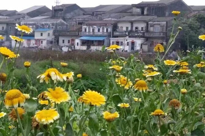 Private Day Tour to Meijia Countyard & Taishan from Guangzhou - Key Points