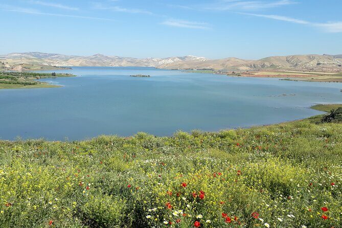 Private Day Tour to Meknes, Volubilis and Moulay Idriss from Fez - Value for Money