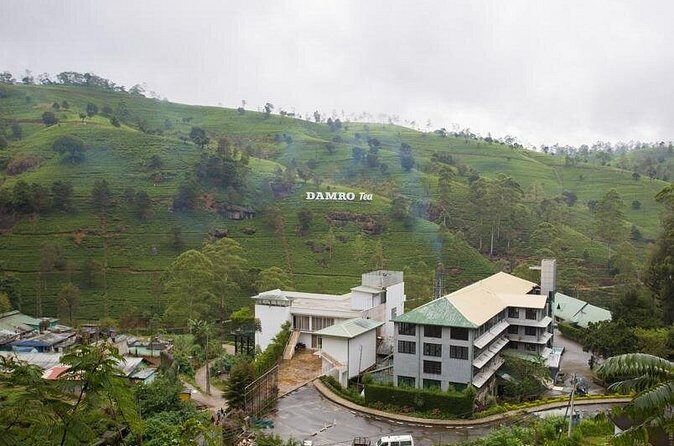Private Day Tour to Nuwara Eliya Pickup from Kandy - FAQs