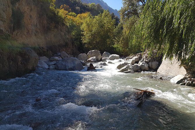 Private Day Tour to Ourika Valley including Guided Hike and Lunch from Marrakech - Authentic Experiences That Travelers Love