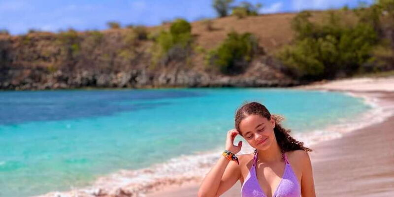 Private day tour to pink beach-sand island-gili petelu - The Itinerary Breakdown