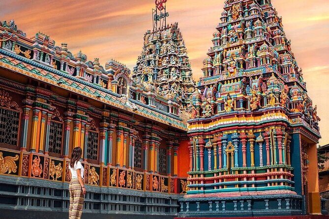 Private Day Tour to Polonnaruwa with Driver from Negombo - Final Thoughts