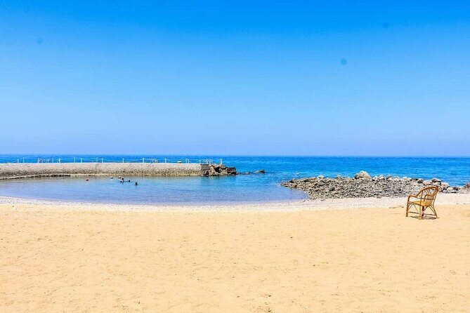 Private Day Tour To Red Sea included Lunch from Cairo & Giza - Why Travelers Love This Experience