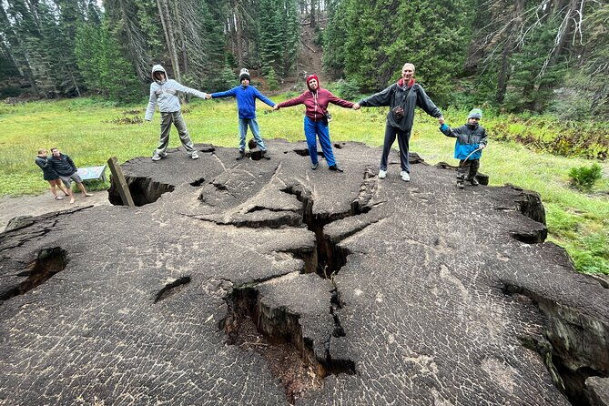 private-day-tour-to-sequoia-and-kings-canyon-parks-from-la