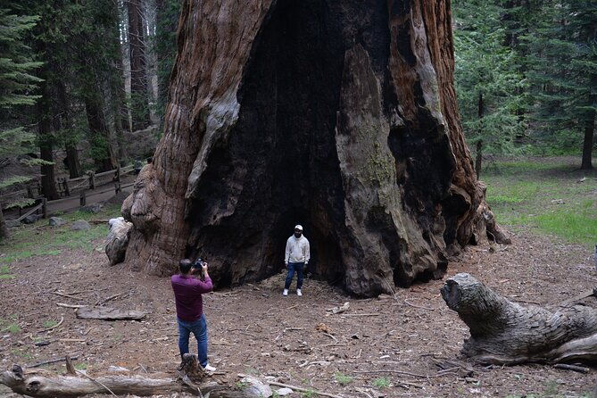 private-day-tour-to-sequoia-and-kings-canyon-parks-from-la