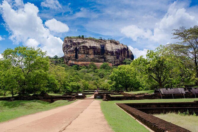 Private Day Tour to Sigiriya & Dambulla cave with Wildlife Safari - An In-Depth Look at the Tour Experience