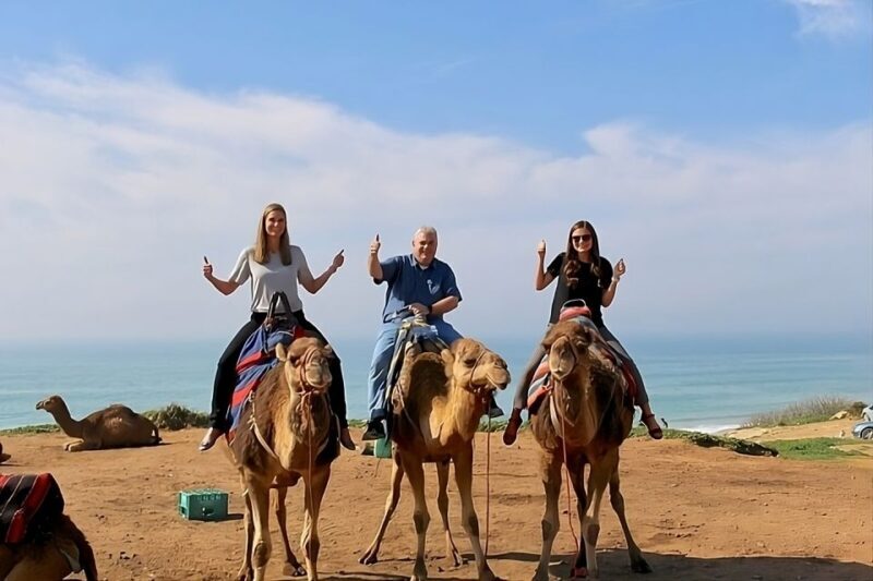 Private Day Tour to Tangier from Tarifa or Algeciras - Analyzing the Value