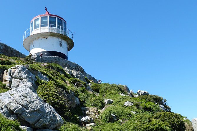 Private day tour to the Cape of Good Hope - A Detailed Look at the Tour Experience