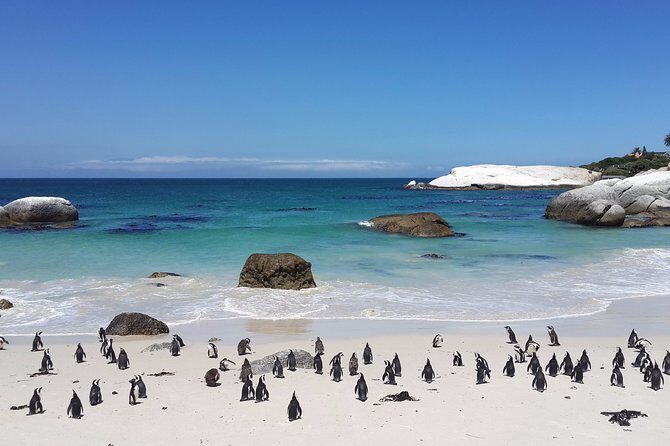 Private day tour to the Cape of Good Hope - Final Thoughts