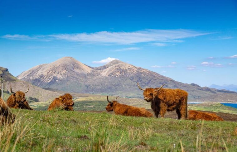private-day-tour-to-the-famous-glenfinnan-glencoe-more