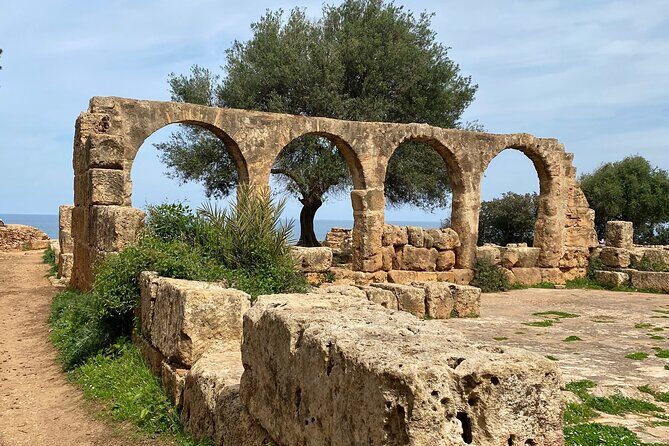 Private Day Tour to the Roman Ruins of Tipaza - What to Expect from the Tour