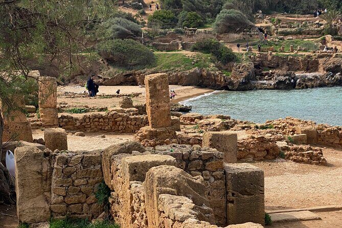 Private Day Tour to the Roman Ruins of Tipaza - Who Will Love This Experience?