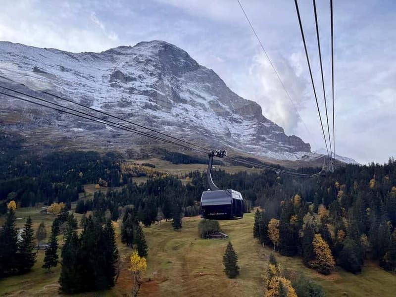 Private Day Tour to "Top of Europe", incl Swiss Picknick - Who Will Love This Tour?