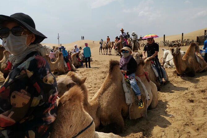 Private Day Tour to Xiangshawan Desert from Hohhot - Pricing and Value