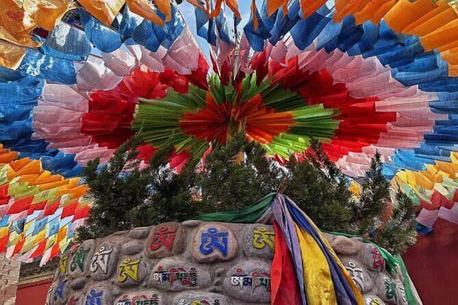 Private Day Tour: Xi'an PandaQI ZAIand City Highlights - Final Thoughts: Who Will Love This Tour?