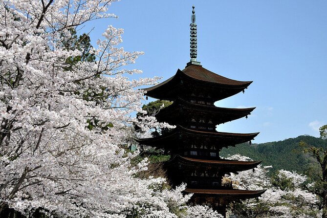private-day-trip-around-yamaguchi-city-from-fukuoka-with-minibus