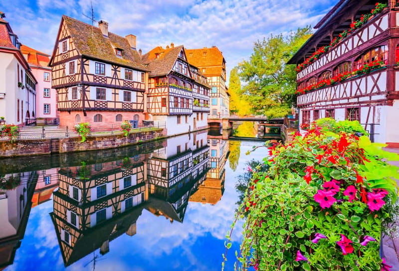 Private day trip: Basel to Alsace Wine Region, local driver - Who This Tour Is Best For