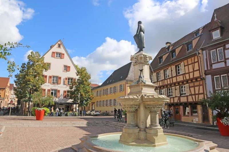 Private day trip: Basel to Alsace Wine Region, local driver - The Sum Up: Is it Worth It?