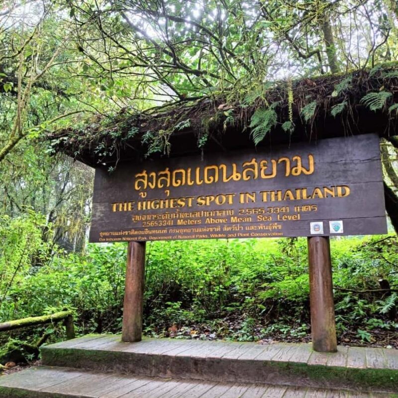 Private Day Trip Doi Inthanon, Trekking, Elephant Sanctuary - Key Points