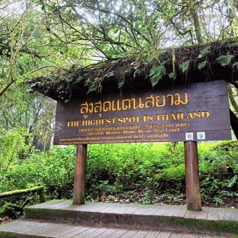 private-day-trip-doi-inthanon-trekking-elephant-sanctuary