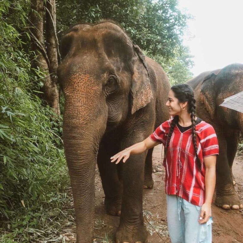 private-day-trip-doi-inthanon-trekking-elephant-sanctuary