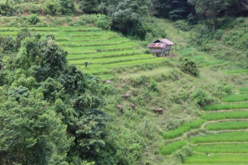 private-day-trip-doi-inthanon-trekking-elephant-sanctuary