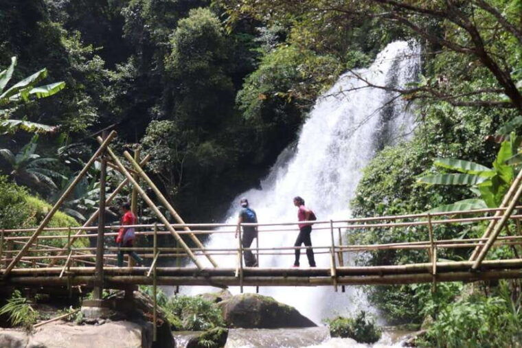 private-day-trip-doi-inthanon-trekking-elephant-sanctuary